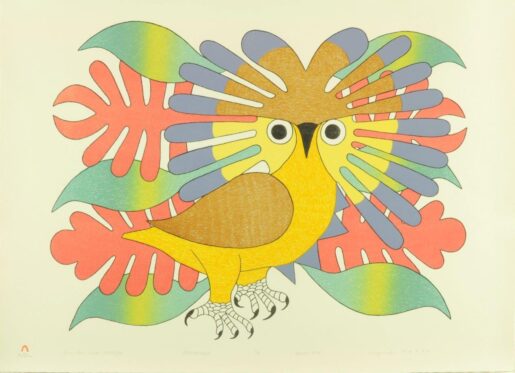 Kenojuak Sun Owl And Foliage 1979 007 A 013 L Lln