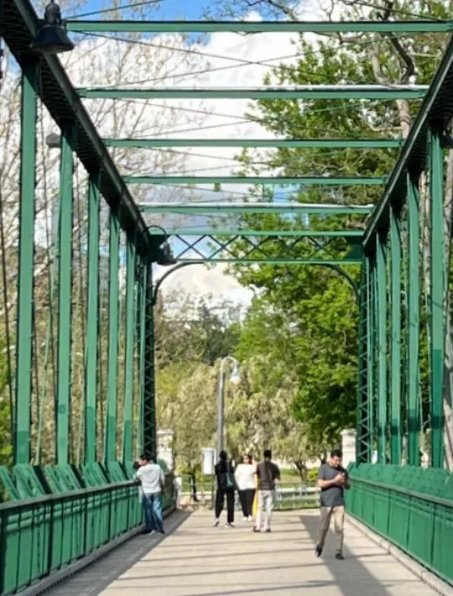 An image of a bridge with several people atop looking below.