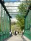 An image of a bridge with several people atop looking below.